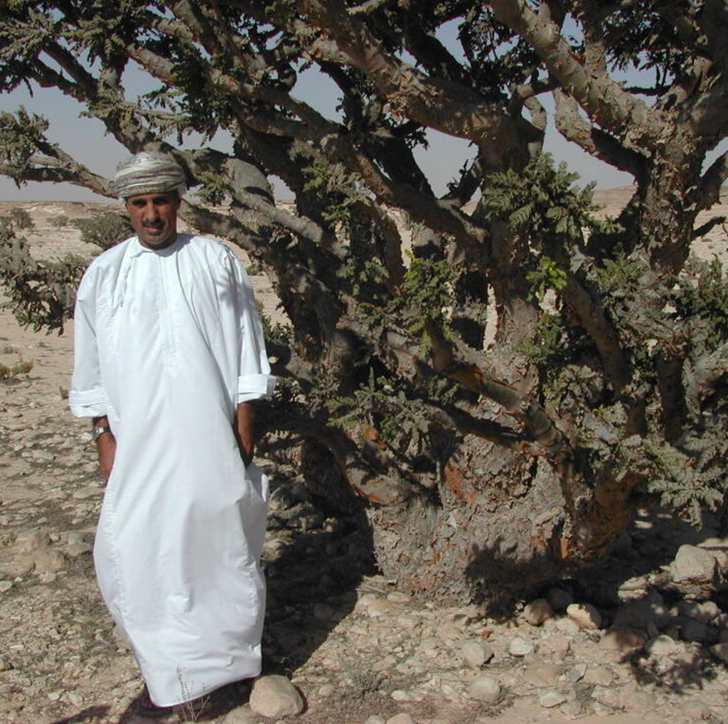 L'encens d'Oman : l'or des soins de la peau